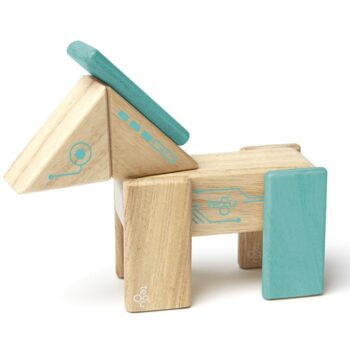 tegu robo (1)