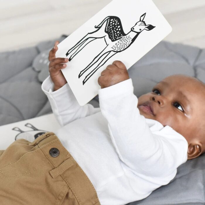 Wee Gallery Baby Art Cards - Regenwald