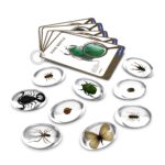 Guidecraft Specimen Stones - Bugs
